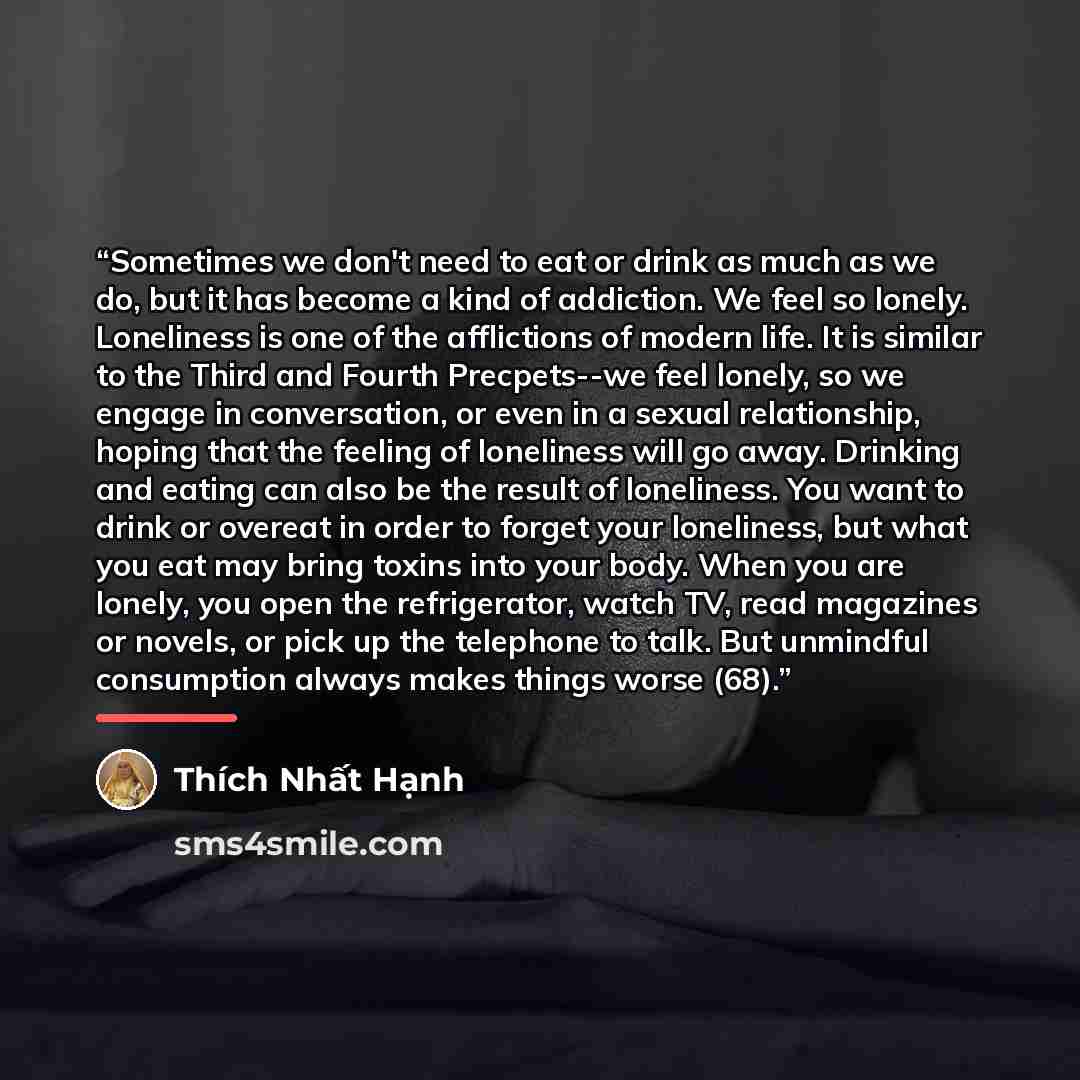 “Sometimes we don't need to eat or drink as much as we do, but it has become a kind of addiction. We feel so lonely. Loneliness is one of the afflictions of modern life. It is similar to the Third and Fourth Precpets--we feel lonely, so we engage in conversation, or even in a sexual relationship…” quote by Thich Nhat Hanh