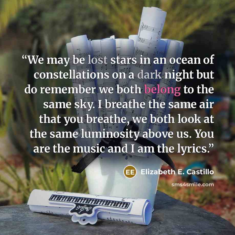 “We may be lost stars in an ocean of constellations on a dark night but do remember we both belong to the same sky. I breathe the same air that you breathe, we both look at the same luminosity above us. You are the music and I am the lyrics.” quote by Elizabeth E. Castillo