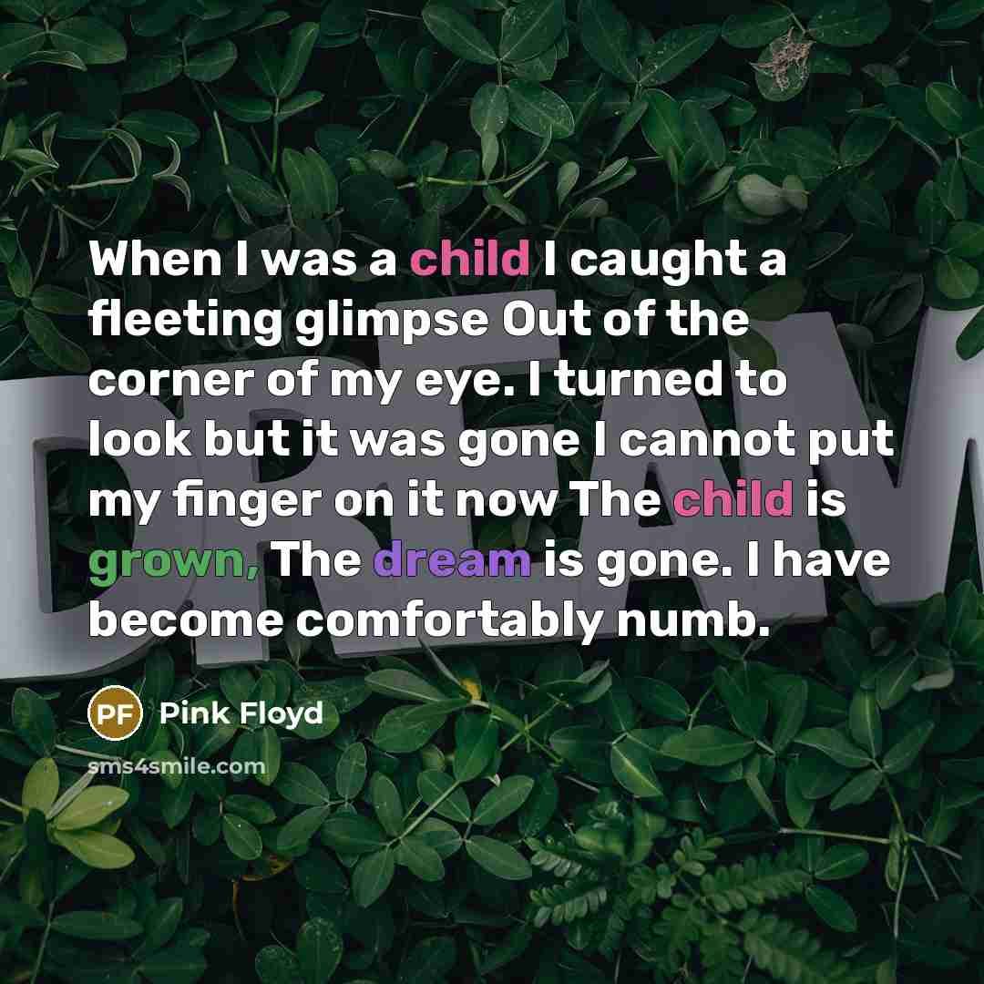 “When I was a child I caught a fleeting glimpse Out of the corner of my eye. I turned to look but it was gone I cannot put my finger on it now The child is grown, The dream is gone. I have become comfortably numb.” quote by Pink Floyd
