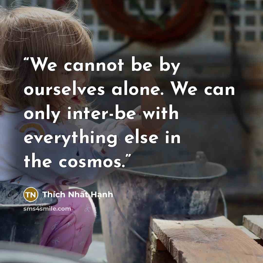 “We cannot be by ourselves alone. We can only inter-be with everything else in the cosmos.” quote by Thich Nhat Hanh