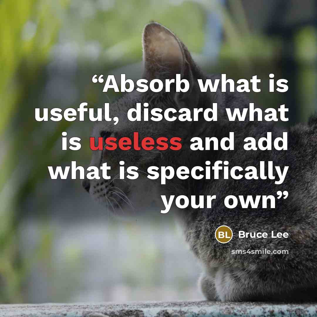 “Absorb what is useful, discard what is useless and add what is specifically your own” quote by Bruce Lee