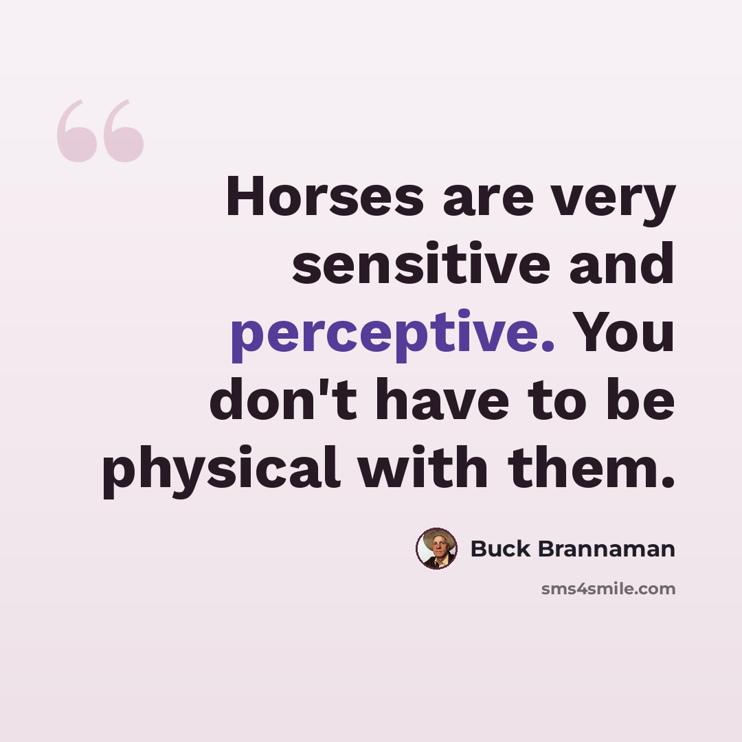 “Horses are very sensitive and perceptive. You don't have to be physical with them.” quote by Buck Brannaman