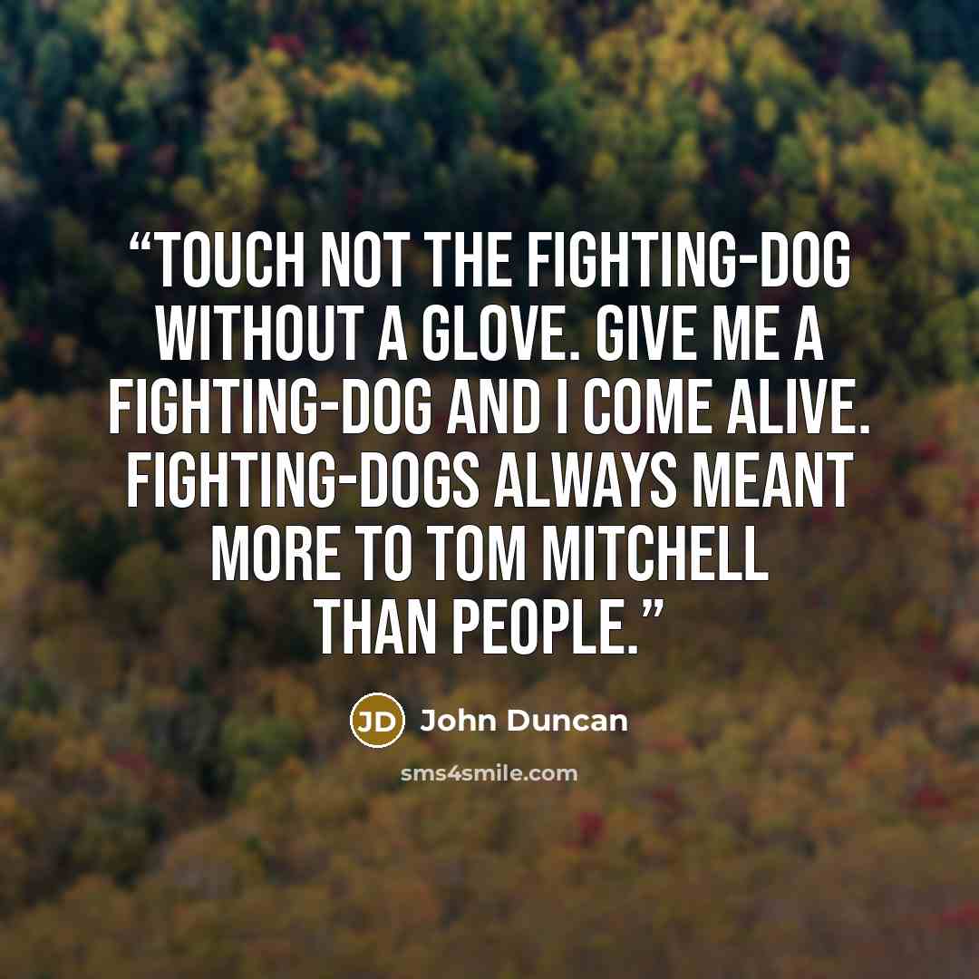 “Touch not the fighting-dog without a glove. Give me a fighting-dog and I come alive. Fighting-dogs always meant more to Tom Mitchell than people.” quote by John Duncan
