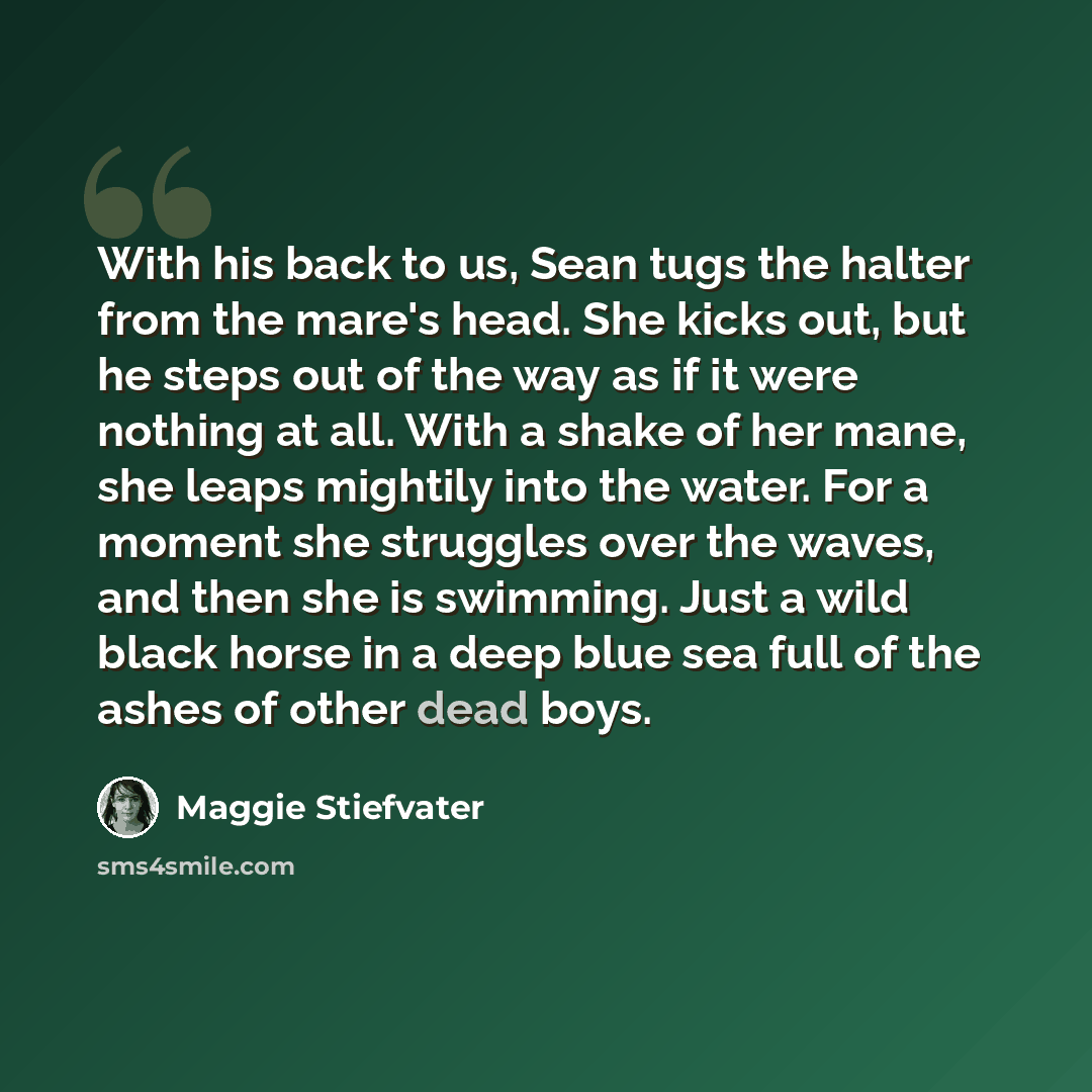 “With his back to us, Sean tugs the halter from the mare's head. She kicks out, but he steps out of the way as if it were nothing at all. With a shake of her mane, she leaps mightily into the water. For a moment she struggles over the waves, and then she is swimming. Just a wild black horse in a…” quote by Maggie Stiefvater