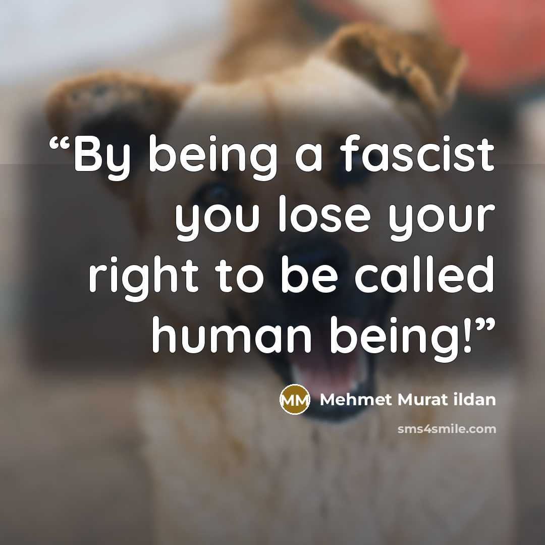 “By being a fascist you lose your right to be called human being!” quote by Mehmet Murat ildan