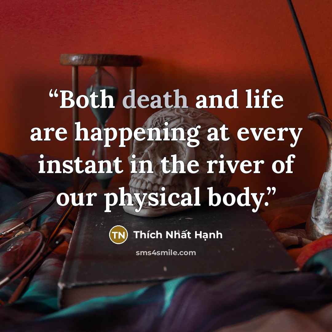 “Both death and life are happening at every instant in the river of our physical body.” quote by Thich Nhat Hanh