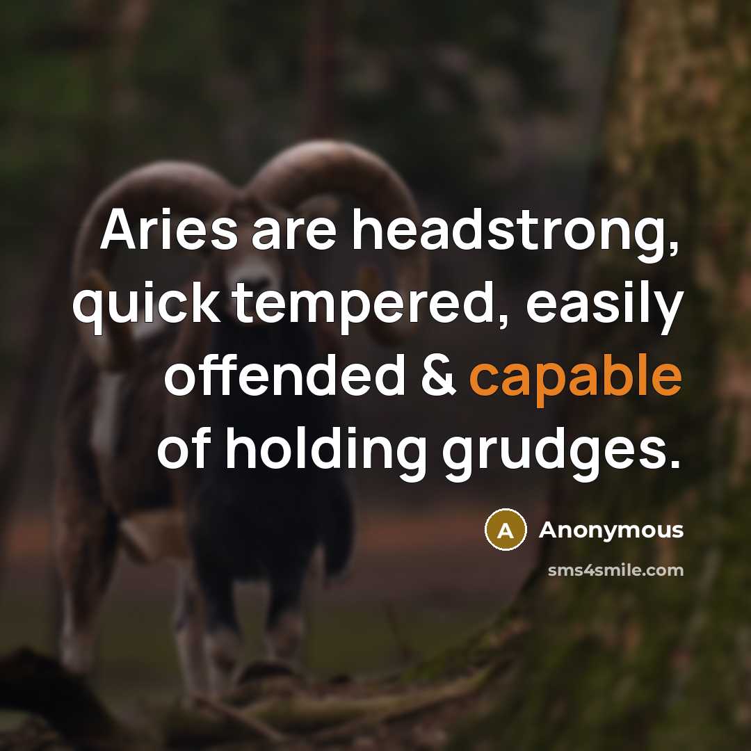 “Aries are headstrong, quick tempered, easily offended & capable of holding grudges.” quote by Anonymous