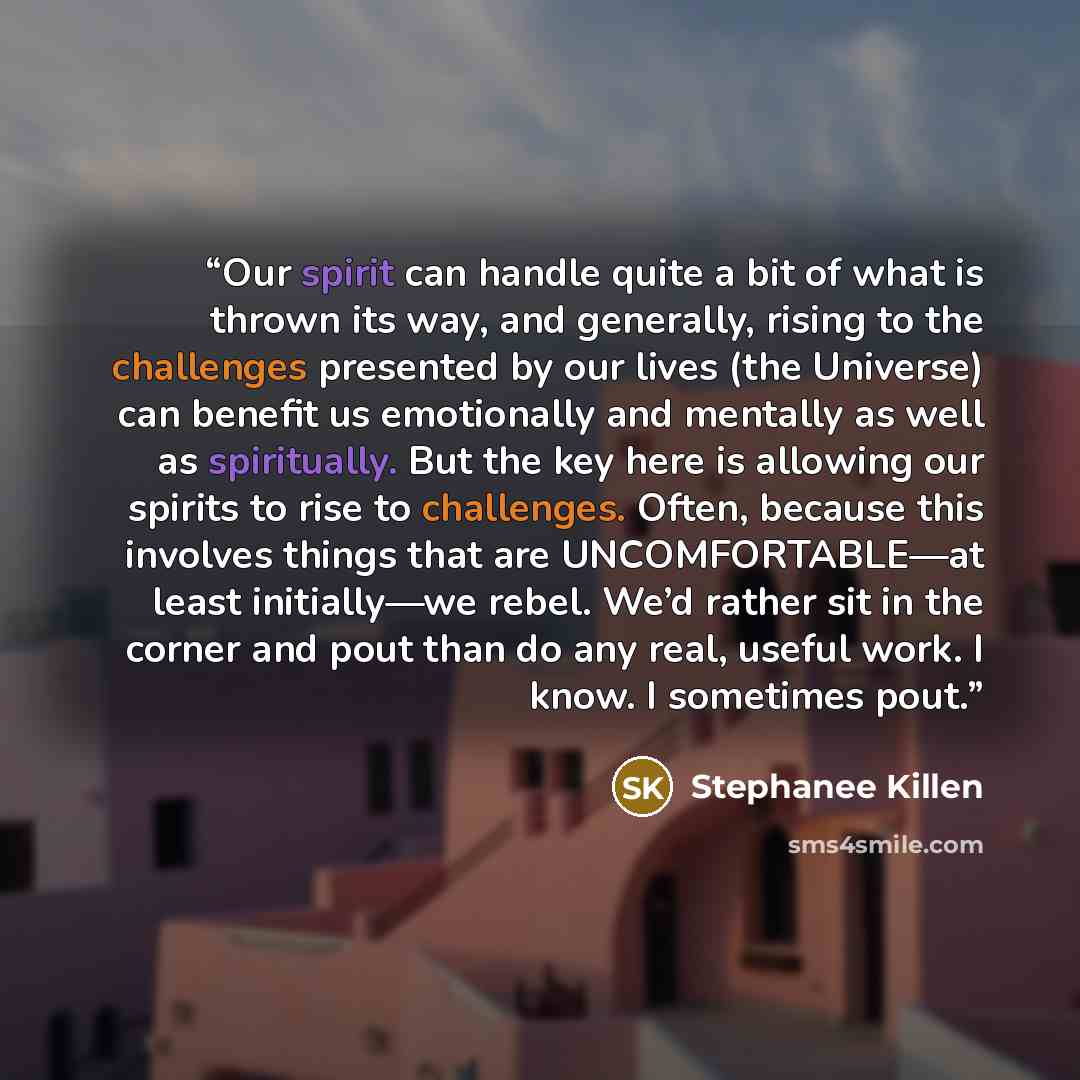 “Our spirit can handle quite a bit of what is thrown its way, and generally, rising to the challenges presented by our lives (the Universe) can benefit us emotionally and mentally as well as spiritually. But the key here is allowing our spirits to rise to challenges. Often, because this involves…” quote by Stephanee Killen