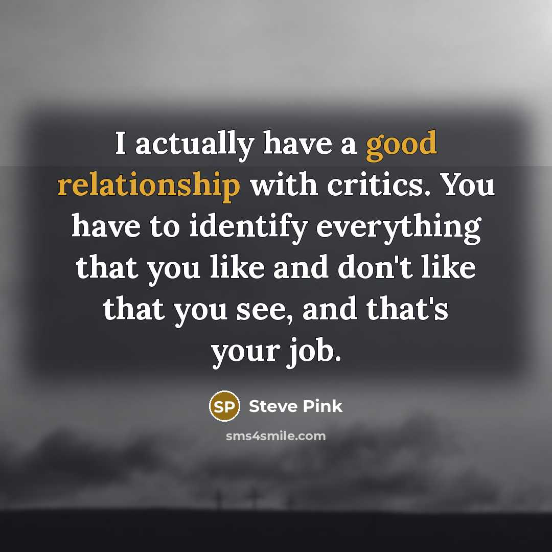 “I actually have a good relationship with critics. You have to identify everything that you like and don't like that you see, and that's your job.” quote by Steve Pink