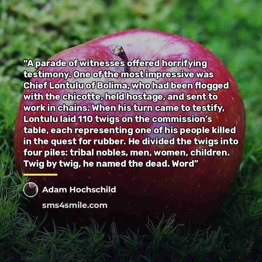 “A parade of witnesses offered horrifying testimony. One of the most impressive was Chief Lontulu of Bolima, who had been flogged with the chicotte, held hostage, and sent to work in chains. When his turn came to testify, Lontulu laid 110 twigs on the commission’s table, each representing one of…” quote by Adam Hochschild