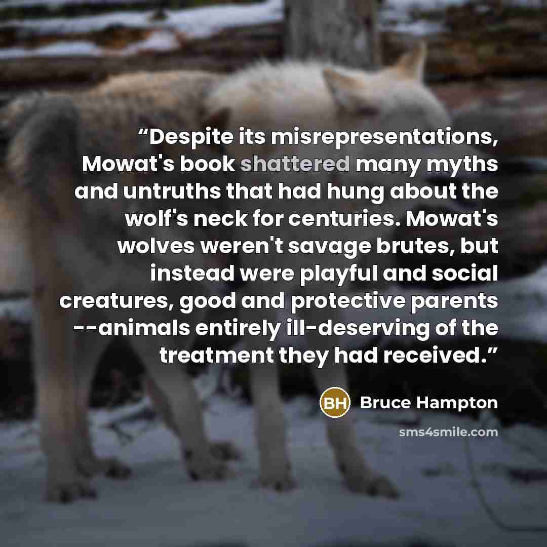 “Despite its misrepresentations, Mowat's book shattered many myths and untruths that had hung about the wolf's neck for centuries. Mowat's wolves weren't savage brutes, but instead were playful and social creatures, good and protective parents --animals entirely ill-deserving of the treatment they…” quote by Bruce Hampton