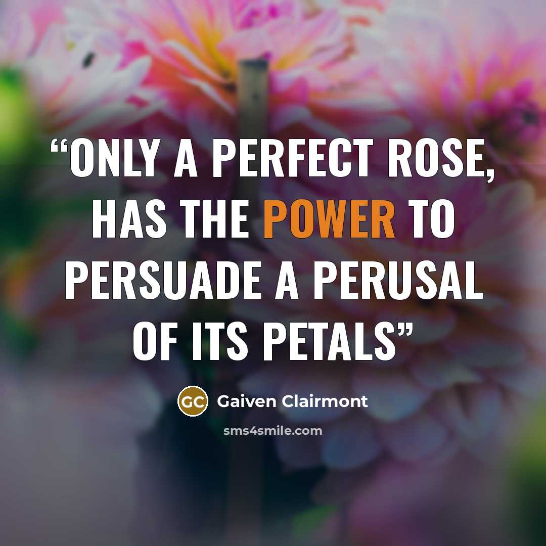 “Only a perfect rose, has the power to persuade a perusal of its petals” quote by Gaiven Clairmont