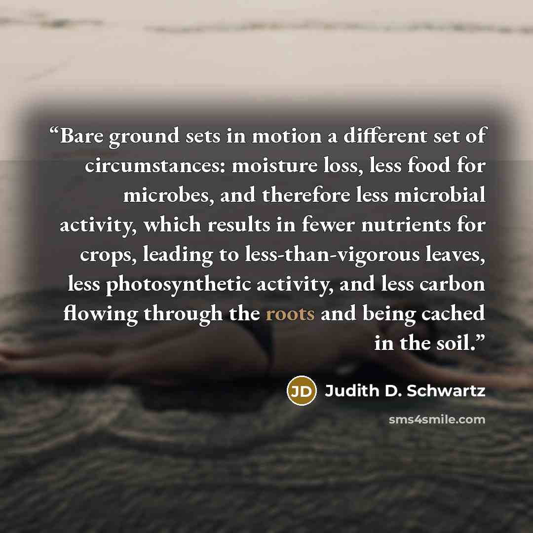 “Bare ground sets in motion a different set of circumstances: moisture loss, less food for microbes, and therefore less microbial activity, which results in fewer nutrients for crops, leading to less-than-vigorous leaves, less photosynthetic activity, and less carbon flowing through the roots and…” quote by Judith D. Schwartz