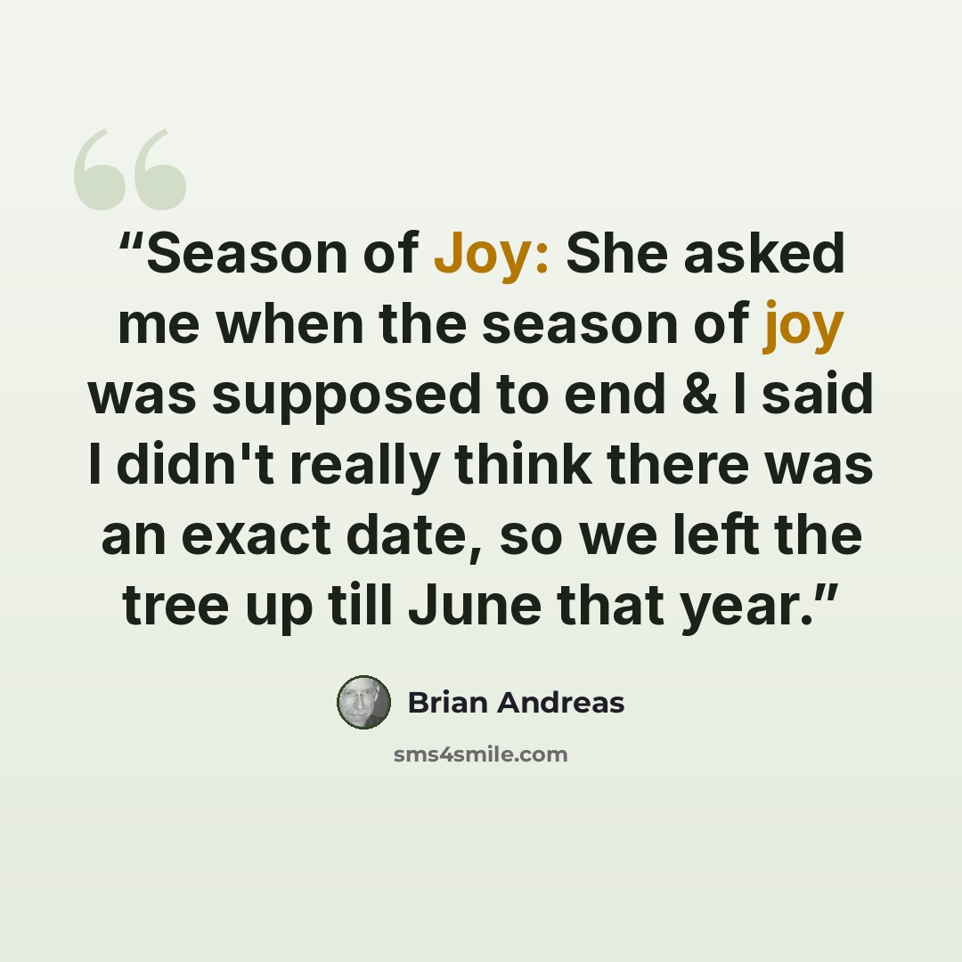 “Season of Joy: She asked me when the season of joy was supposed to end & I said I didn't really think there was an exact date, so we left the tree up till June that year.” quote by brian andreas