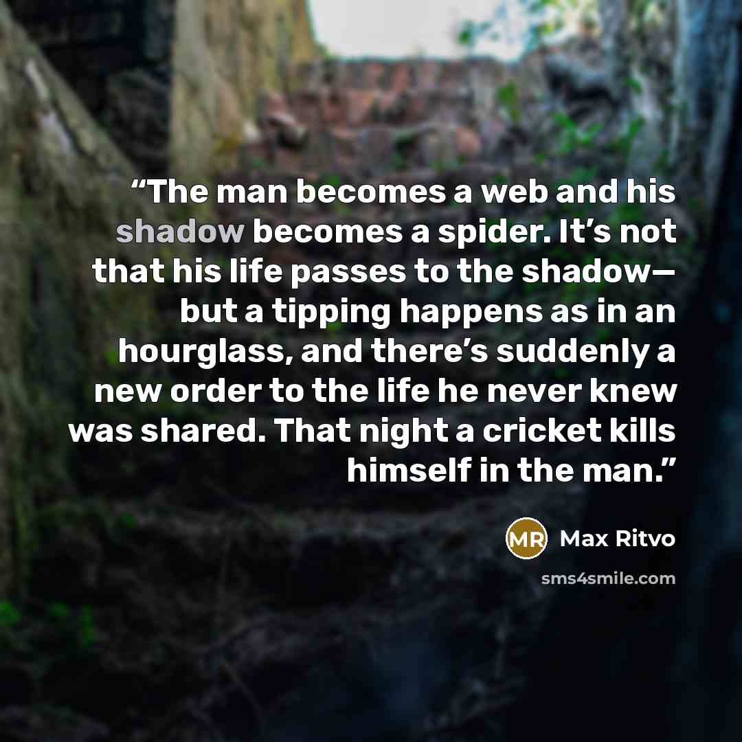 “The man becomes a web and his shadow becomes a spider. It’s not that his life passes to the shadow— but a tipping happens as in an hourglass, and there’s suddenly a new order to the life he never knew was shared. That night a cricket kills himself in the man.” quote by Max Ritvo