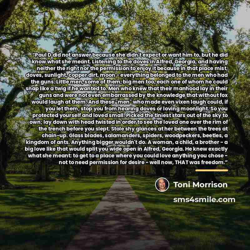 “Paul D did not answer because she didn't expect or want him to, but he did know what she meant. Listening to the doves in Alfred, Georgia, and having neither the right nor the permission to enjoy it because in that place mist, doves, sunlight, copper dirt, moon - everything belonged to the men who…” quote by Toni Morrison
