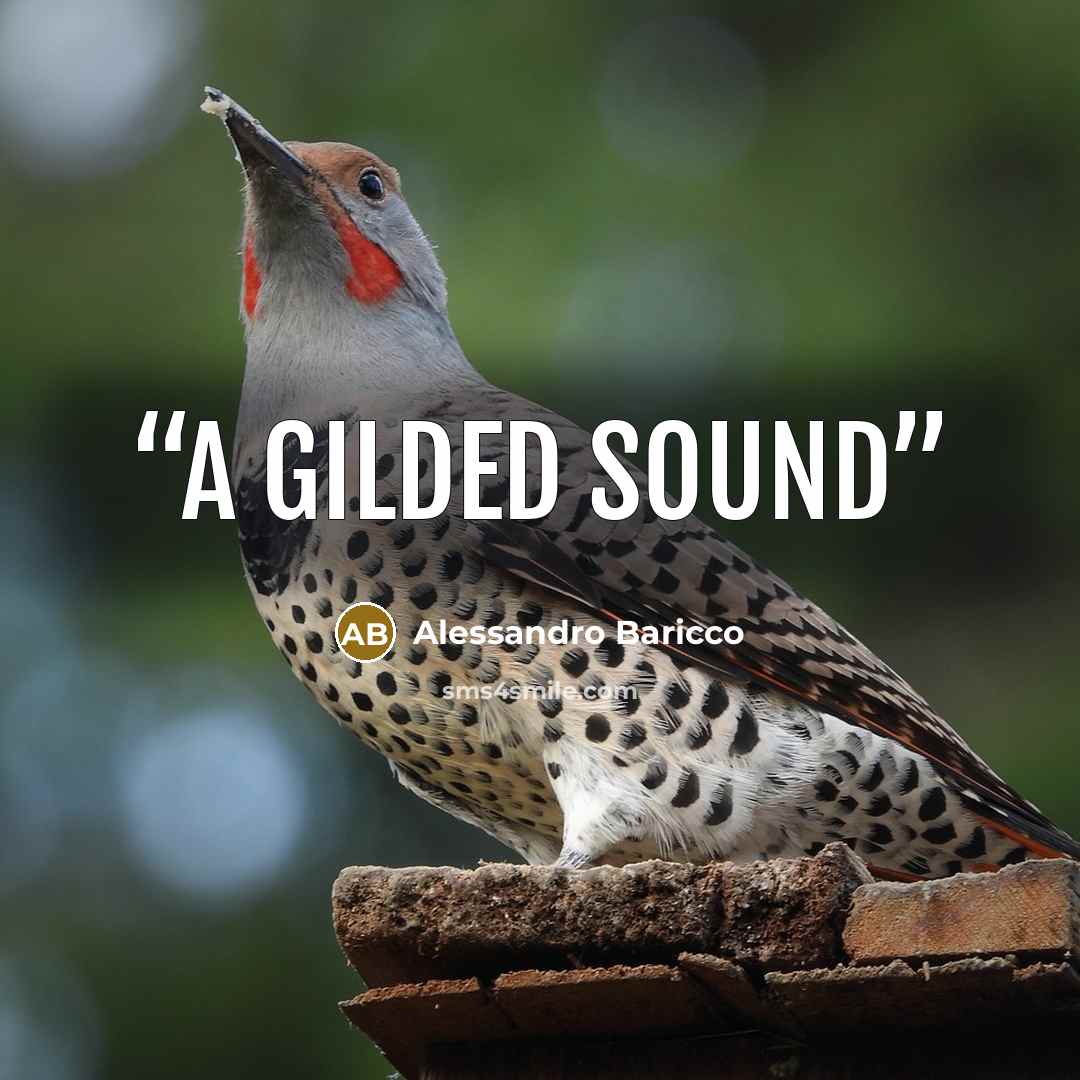 “A gilded sound” quote by Alessandro Baricco