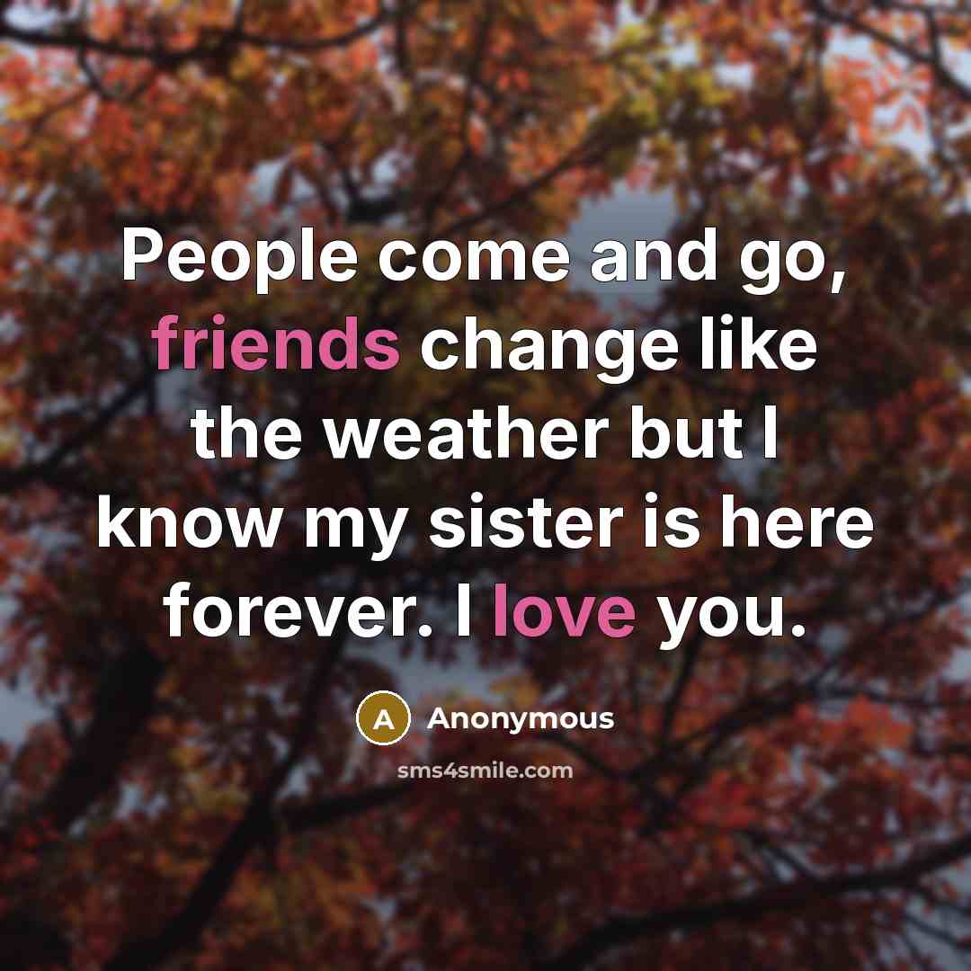 “People come and go, friends change like the weather but I know my sister is here forever. I love you.” quote by Anonymous