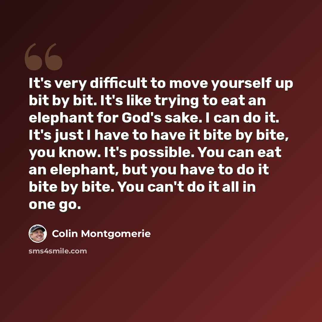 “It's very difficult to move yourself up bit by bit. It's like trying to eat an elephant for God's sake. I can do it. It's just I have to have it bite by bite, you know. It's possible. You can eat an elephant, but you have to do it bite by bite. You can't do it all in one go.” quote by Colin Montgomerie