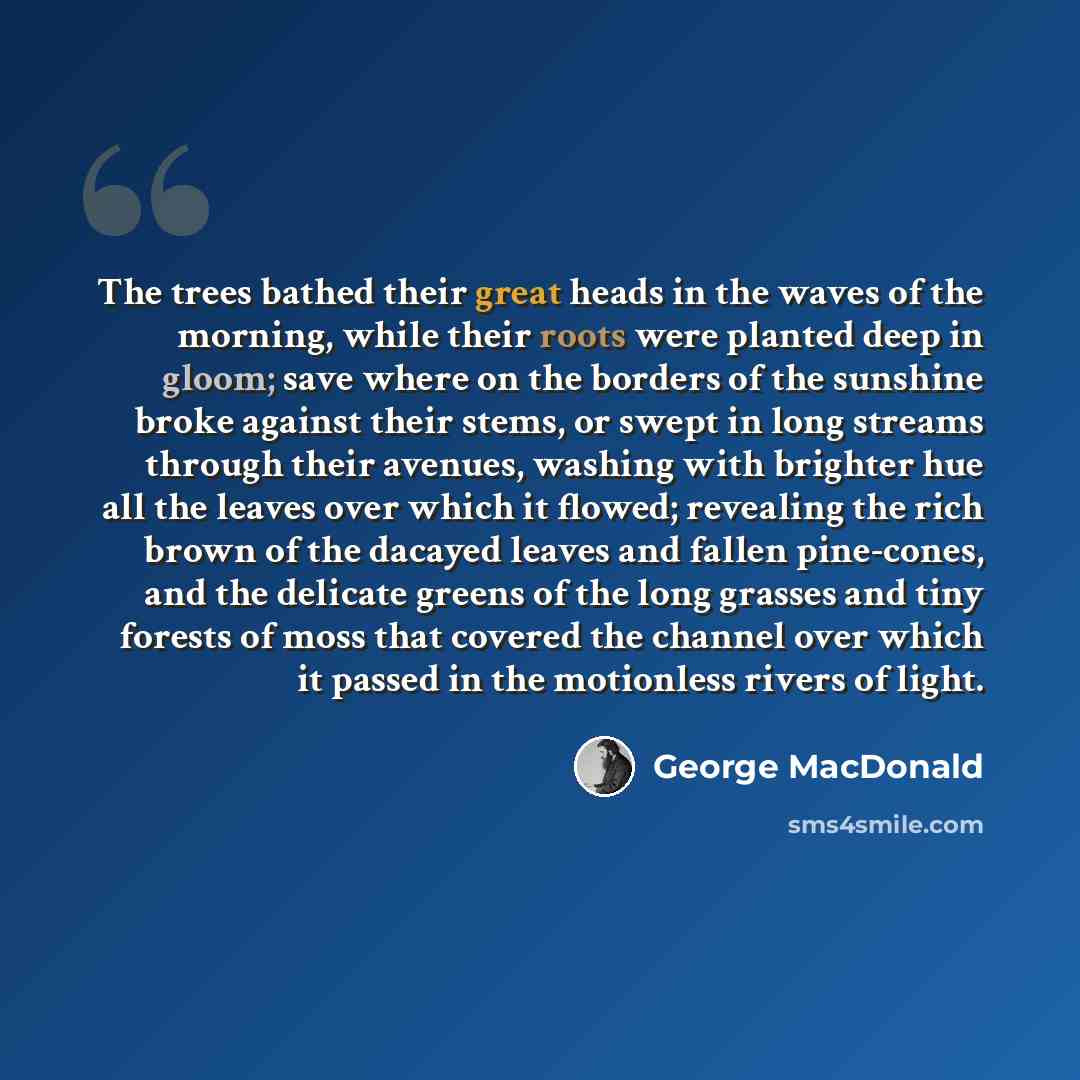 “The trees bathed their great heads in the waves of the morning, while their roots were planted deep in gloom; save where on the borders of the sunshine broke against their stems, or swept in long streams through their avenues, washing with brighter hue all the leaves over which it flowed…” quote by George MacDonald