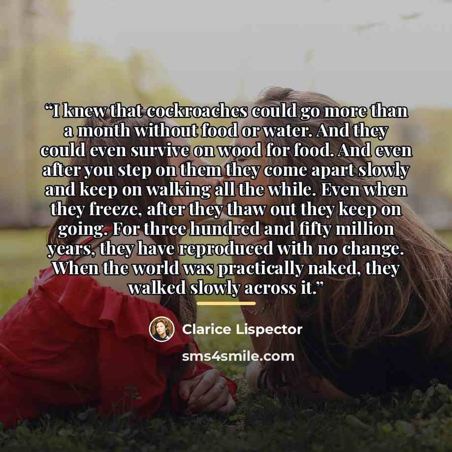 “I knew that cockroaches could go more than a month without food or water. And they could even survive on wood for food. And even after you step on them they come apart slowly and keep on walking all the while. Even when they freeze, after they thaw out they keep on going. For three hundred and…” quote by Clarice Lispector