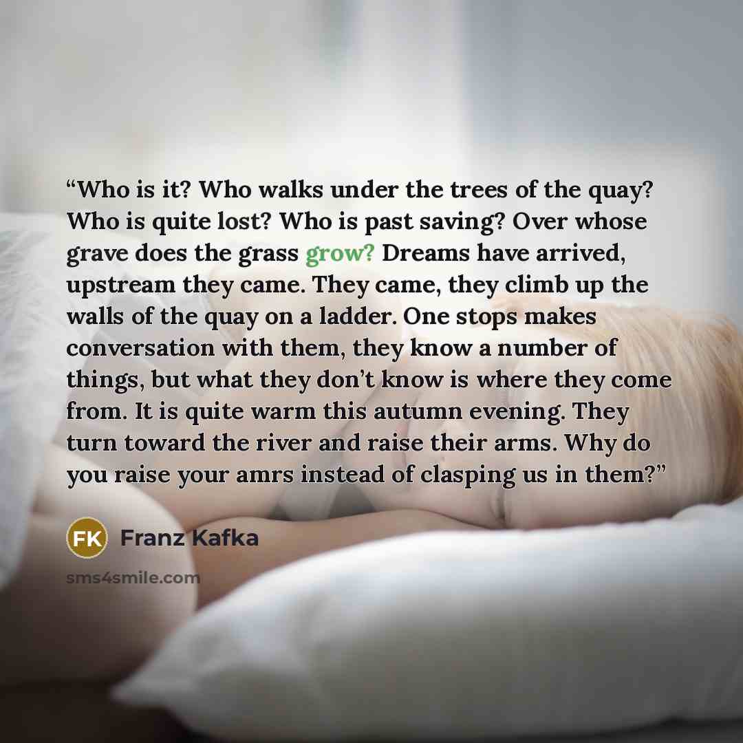 “Who is it? Who walks under the trees of the quay? Who is quite lost? Who is past saving? Over whose grave does the grass grow? Dreams have arrived, upstream they came. They came, they climb up the walls of the quay on a ladder. One stops makes conversation with them, they know a number of things…” quote by Franz Kafka