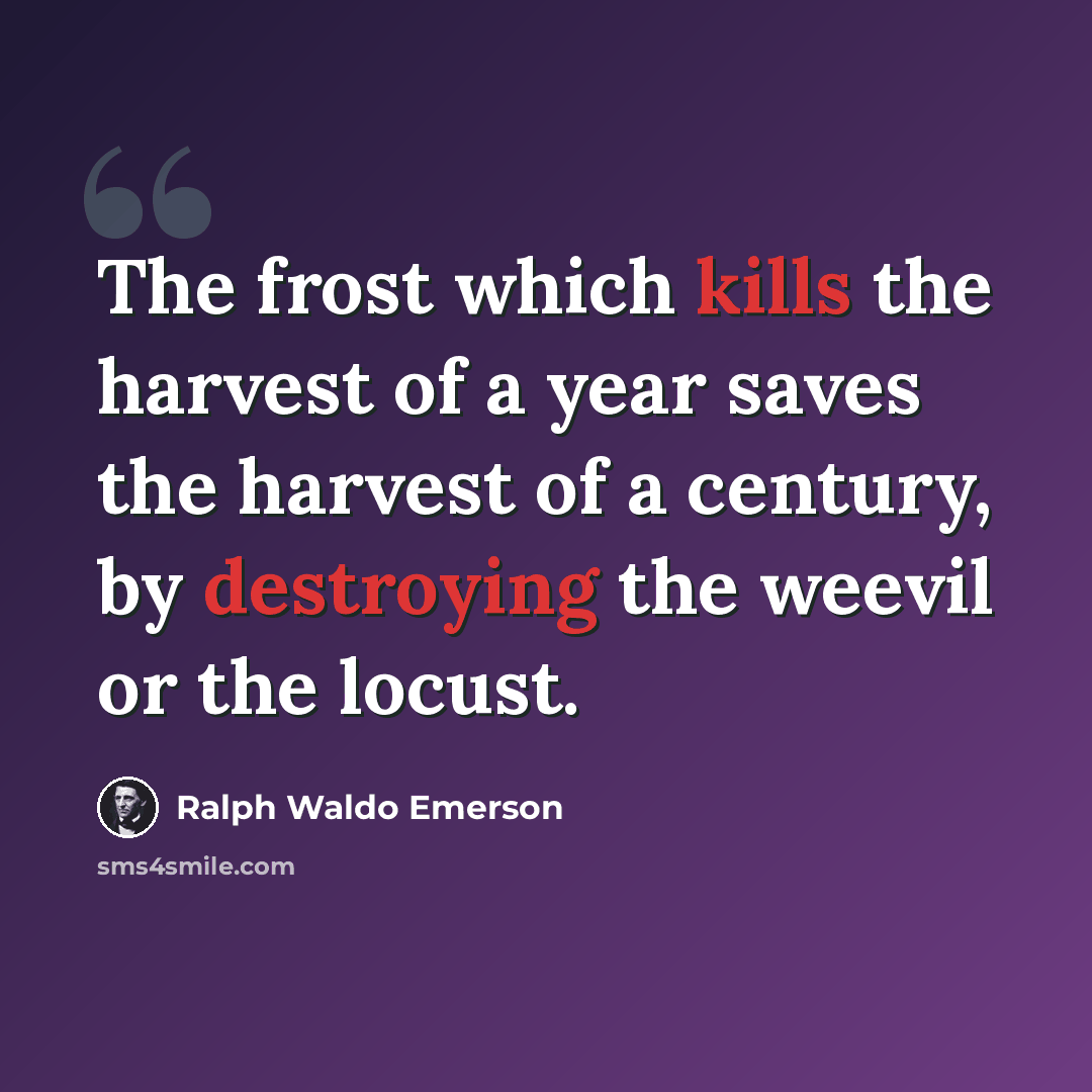“The frost which kills the harvest of a year saves the harvest of a century, by destroying the weevil or the locust.” quote by Ralph Waldo Emerson