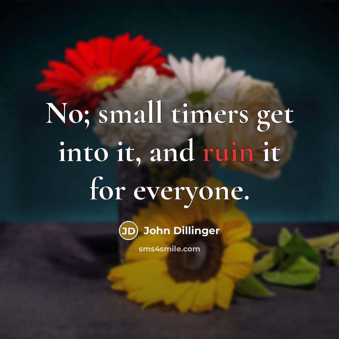 “No; small timers get into it, and ruin it for everyone.” quote by John Dillinger