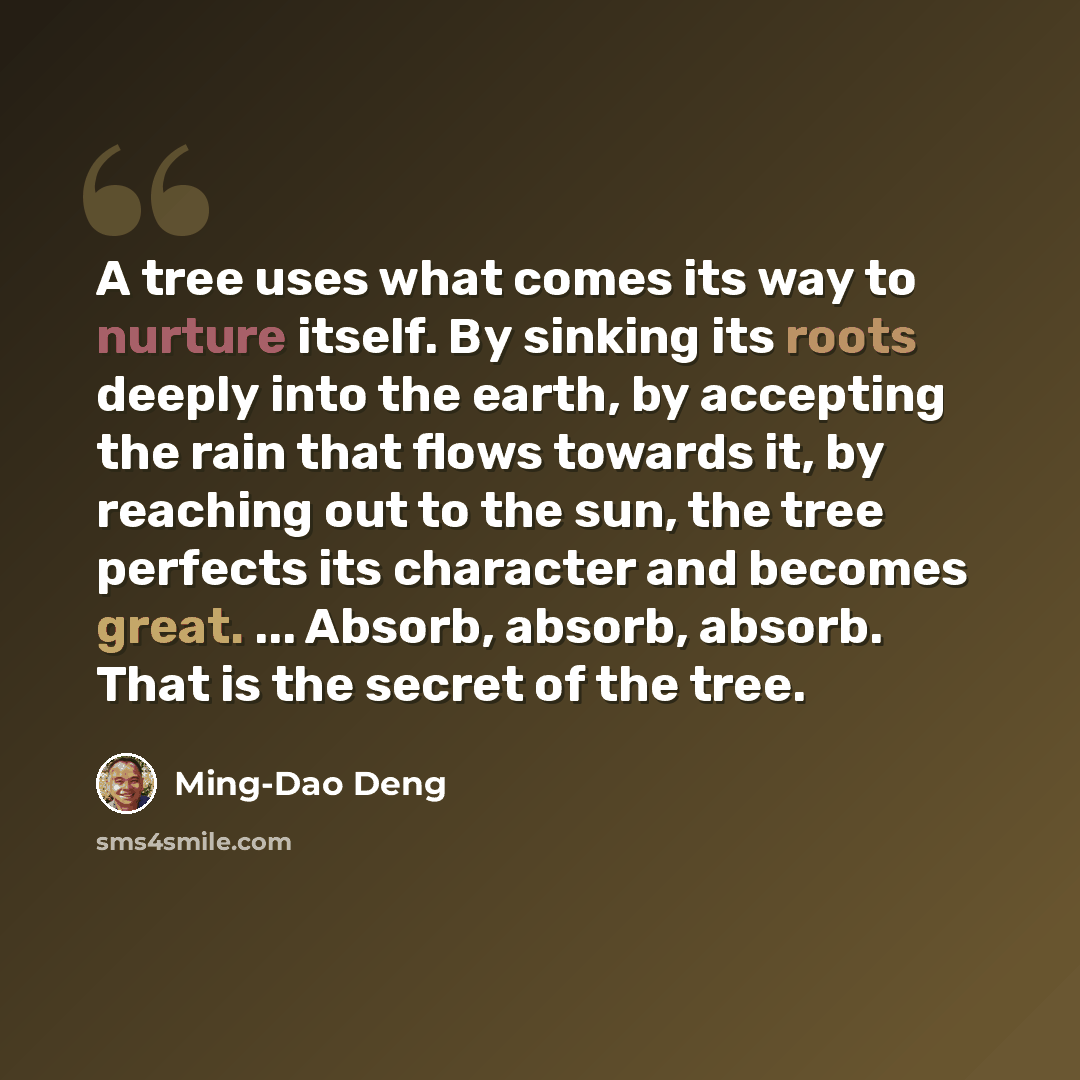 “A tree uses what comes its way to nurture itself. By sinking its roots deeply into the earth, by accepting the rain that flows towards it, by reaching out to the sun, the tree perfects its character and becomes great. ... Absorb, absorb, absorb. That is the secret of the tree.” quote by Ming-Dao Deng