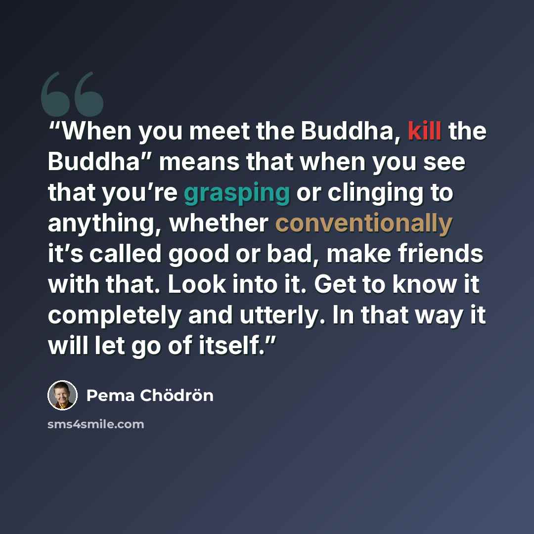 “When you meet the Buddha, kill the Buddha” means that when you see that you’re grasping or clinging to anything, whether conventionally it’s called good or bad, make friends with that. Look into it. Get to know it completely and utterly. In that way it will let go of itself.” quote by Pema Chödrön