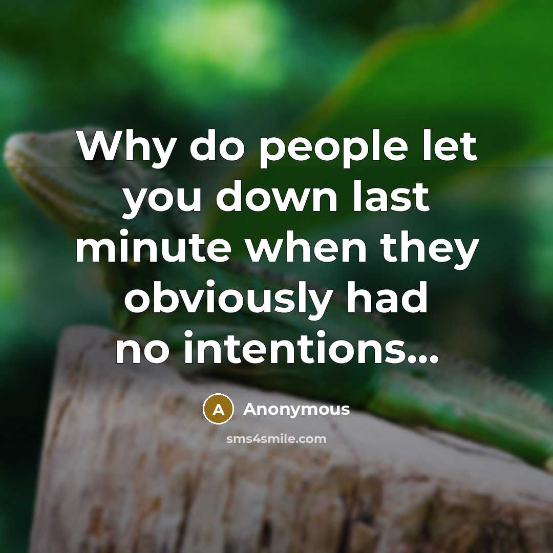 “Why do people let you down last minute when they obviously had no intentions...” quote by Anonymous