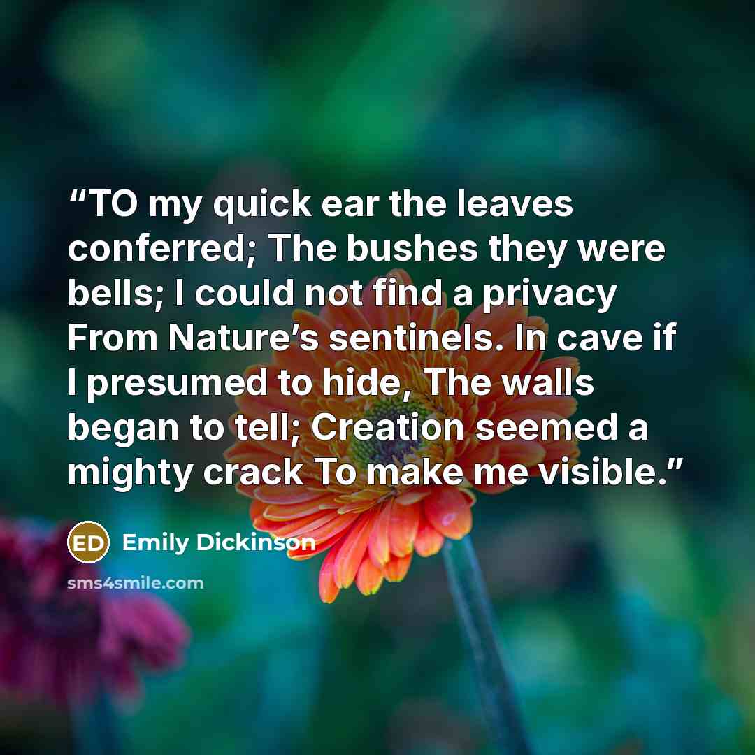 “TO my quick ear the leaves conferred; The bushes they were bells; I could not find a privacy From Nature’s sentinels. In cave if I presumed to hide, The walls began to tell; Creation seemed a mighty crack To make me visible.” quote by Emily Dickinson