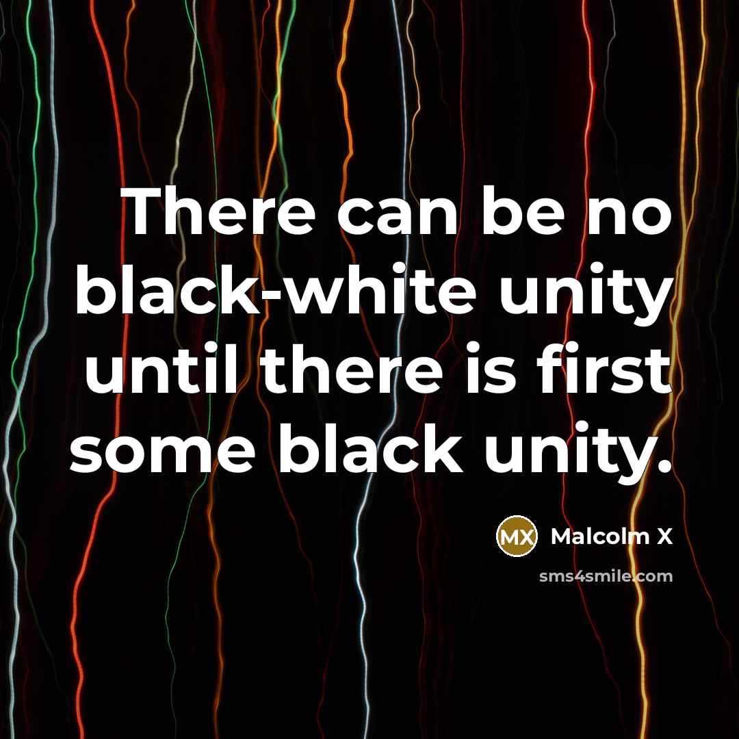“There can be no black-white unity until there is first some black unity.” quote by Malcolm X