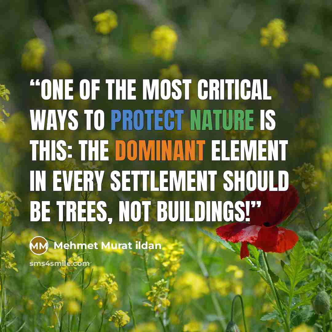 “One of the most critical ways to protect nature is this: The dominant element in every settlement should be trees, not buildings!” quote by Mehmet Murat ildan