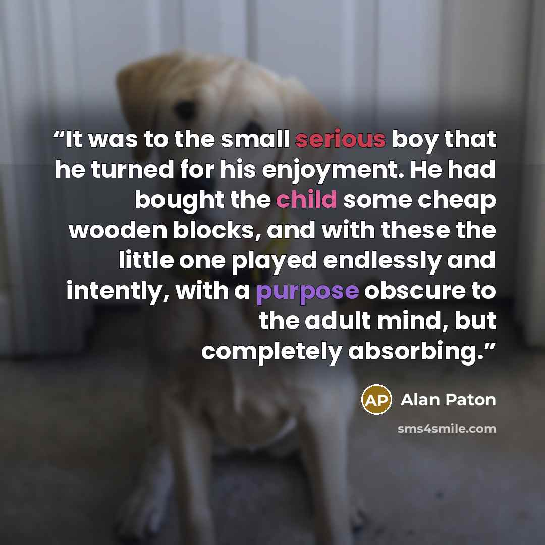 “It was to the small serious boy that he turned for his enjoyment. He had bought the child some cheap wooden blocks, and with these the little one played endlessly and intently, with a purpose obscure to the adult mind, but completely absorbing.” quote by Alan Paton