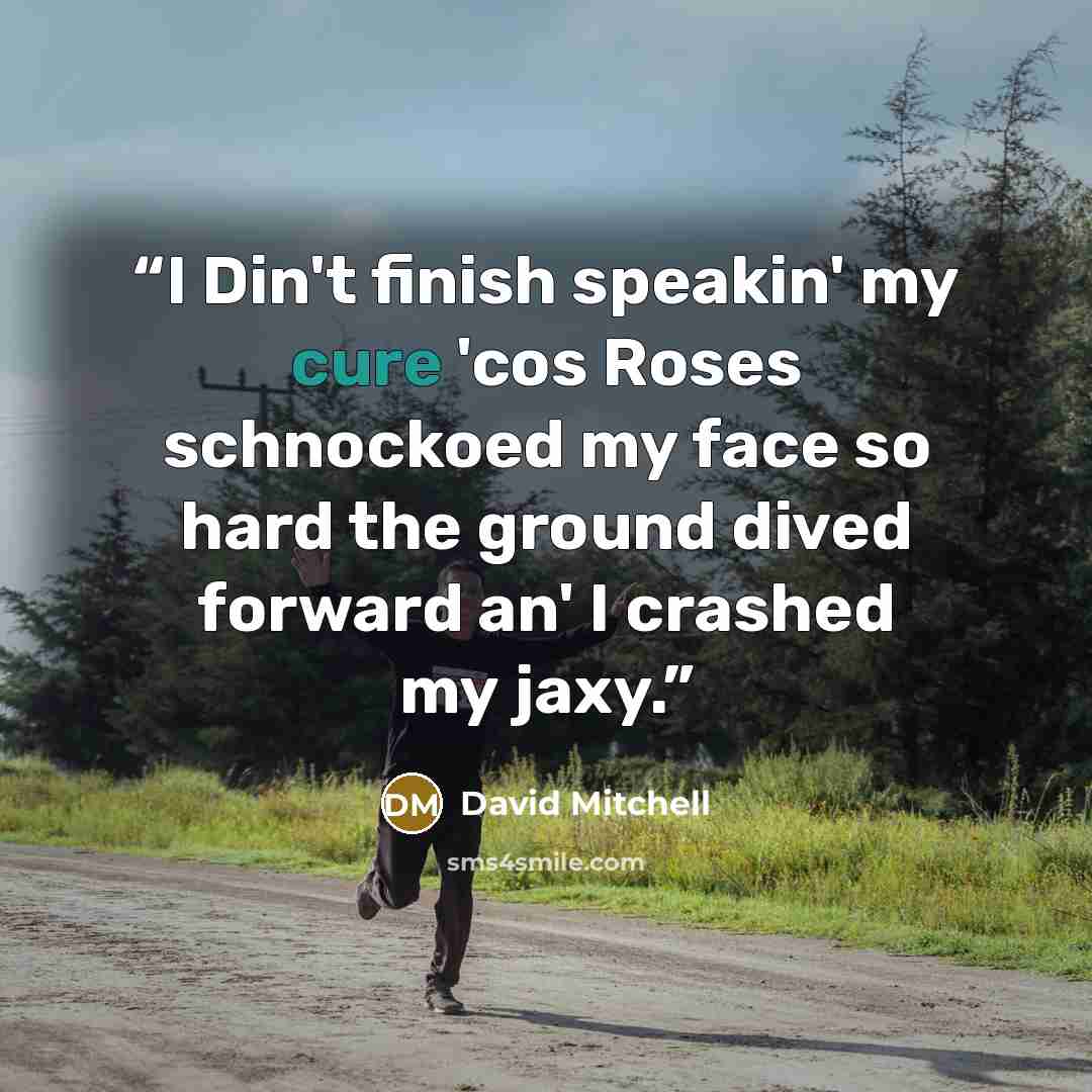“I Din't finish speakin' my cure 'cos Roses schnockoed my face so hard the ground dived forward an' I crashed my jaxy.” quote by David Mitchell