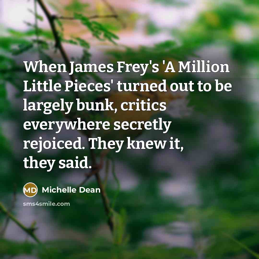 “When James Frey's 'A Million Little Pieces' turned out to be largely bunk, critics everywhere secretly rejoiced. They knew it, they said.” quote by Michelle Dean