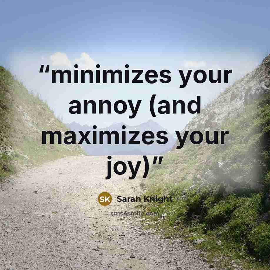 “minimizes your annoy (and maximizes your joy)” quote by Sarah Knight