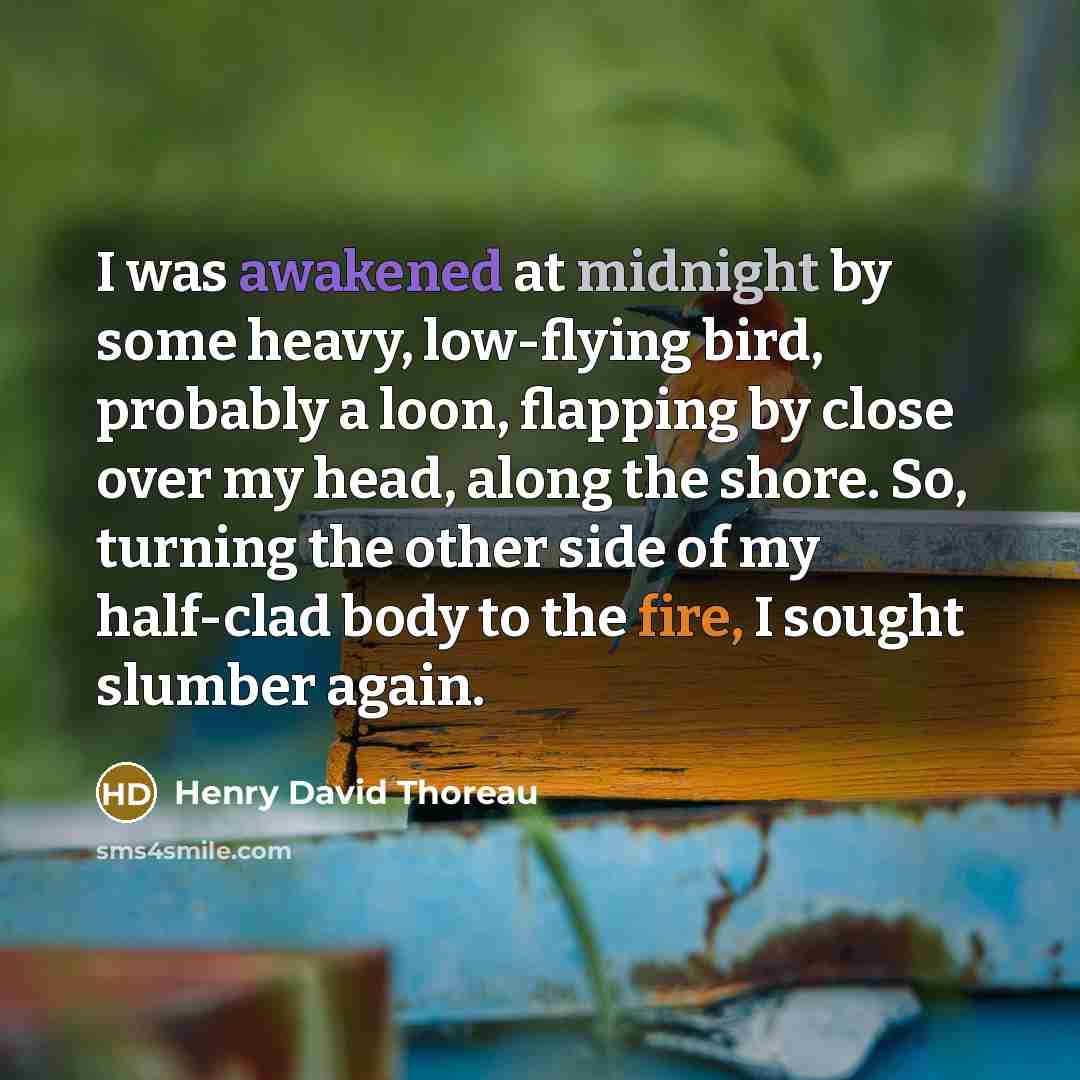 “I was awakened at midnight by some heavy, low-flying bird, probably a loon, flapping by close over my head, along the shore. So, turning the other side of my half-clad body to the fire, I sought slumber again.” quote by Henry David Thoreau
