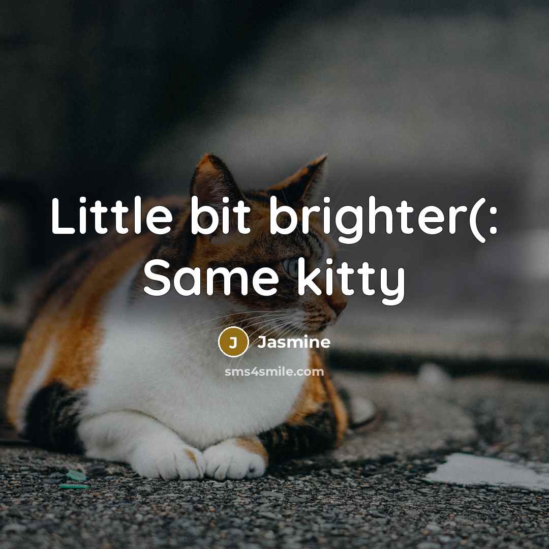 “Little bit brighter(: Same kitty” quote by Jasmine