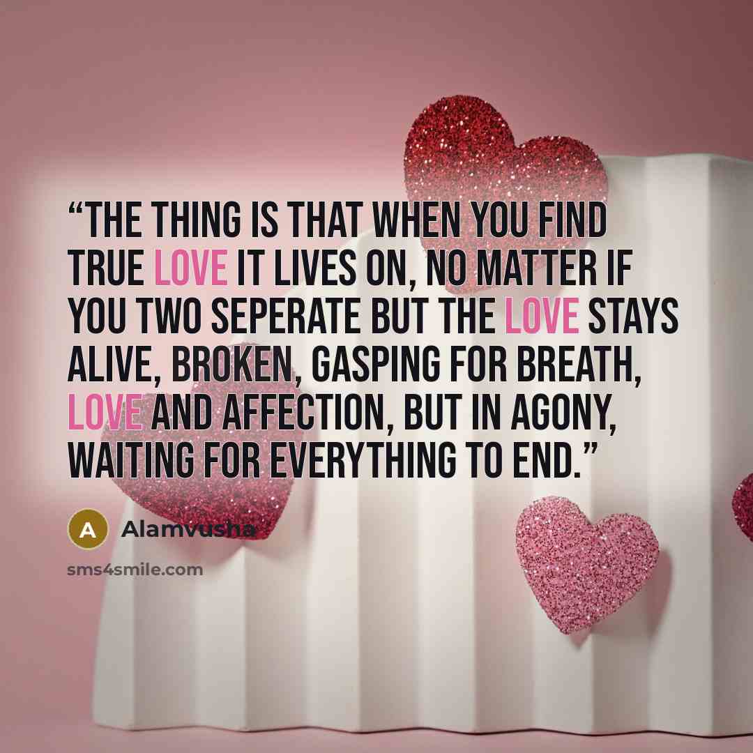 “The thing is that when you find true love it lives on, No matter if you two seperate but the love stays alive, broken, gasping for breath, love and affection, but in agony, waiting for everything to end.” quote by Alamvusha