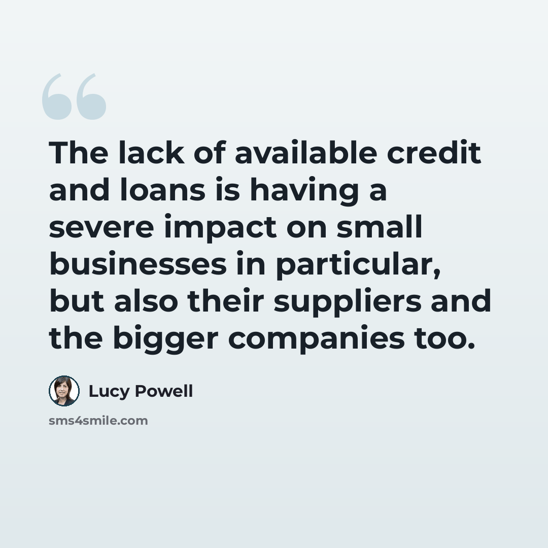 “The lack of available credit and loans is having a severe impact on small businesses in particular, but also their suppliers and the bigger companies too.” quote by Lucy Powell