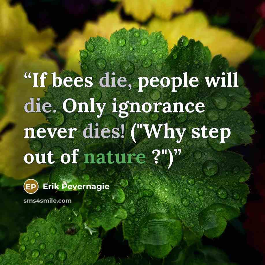 “If bees die, people will die. Only ignorance never dies! ("Why step out of nature ?")” quote by Erik Pevernagie