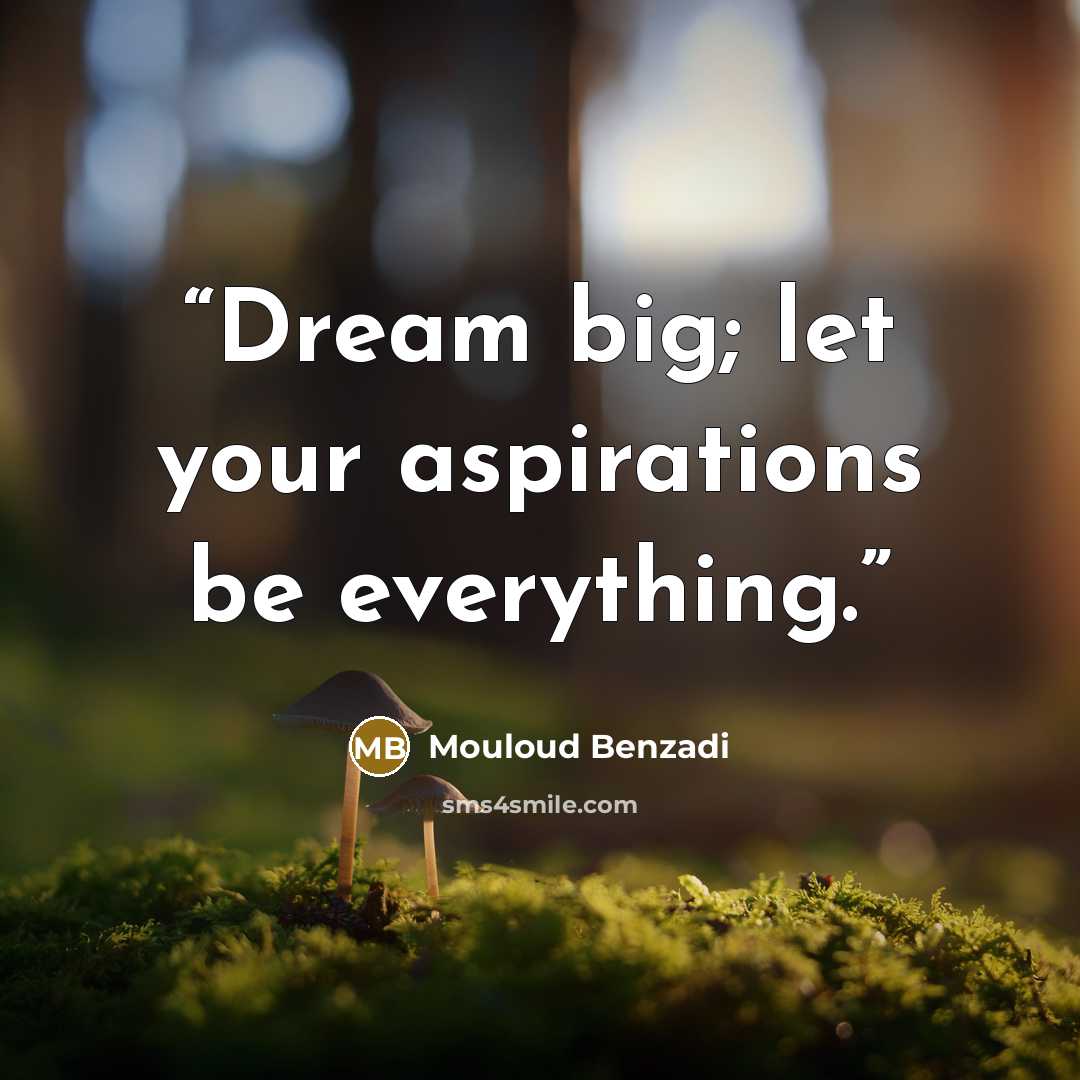 “Dream big; let your aspirations be everything.” quote by Mouloud Benzadi