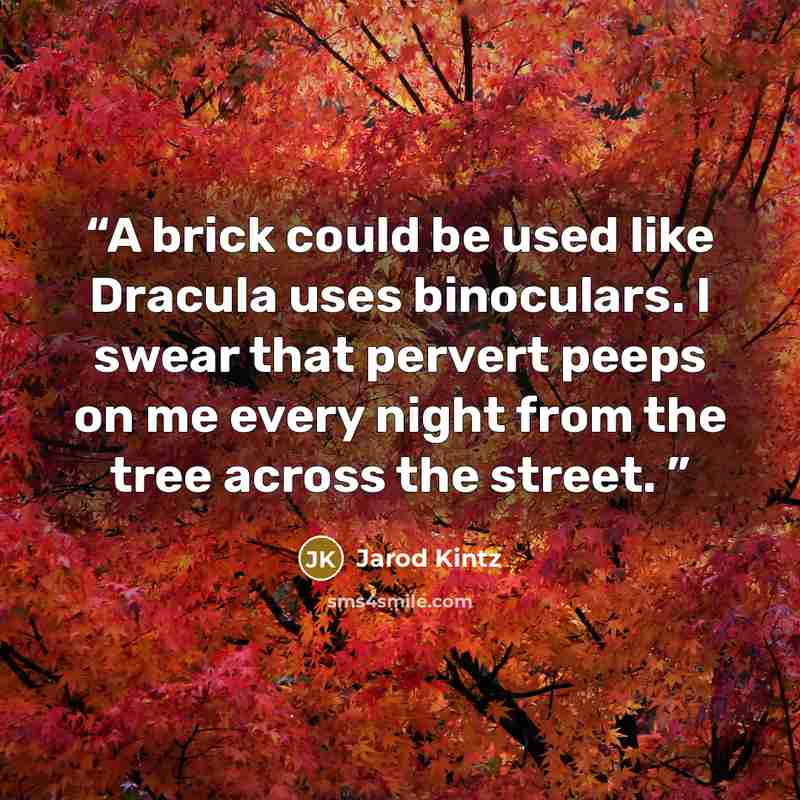 “A brick could be used like Dracula uses binoculars. I swear that pervert peeps on me every night from the tree across the street.” quote by Jarod Kintz