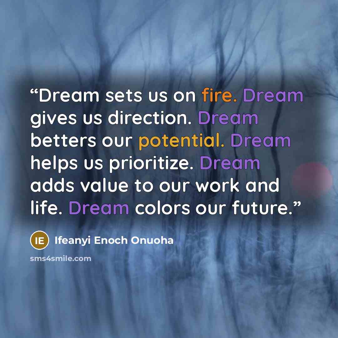 “Dream sets us on fire. Dream gives us direction. Dream betters our potential. Dream helps us prioritize. Dream adds value to our work and life. Dream colors our future.” quote by Ifeanyi Enoch Onuoha