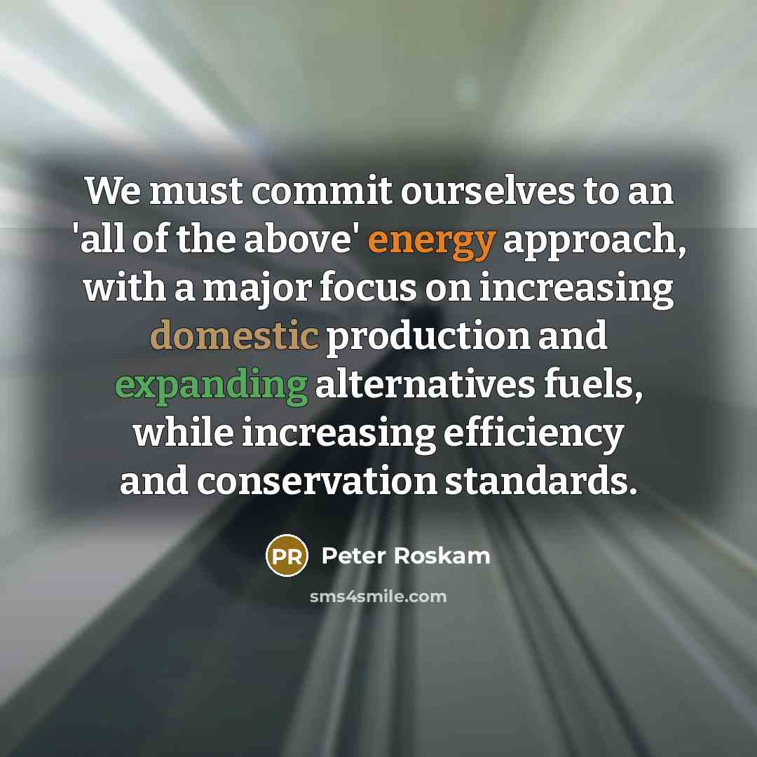 “We must commit ourselves to an 'all of the above' energy approach, with a major focus on increasing domestic production and expanding alternatives fuels, while increasing efficiency and conservation standards.” quote by Peter Roskam
