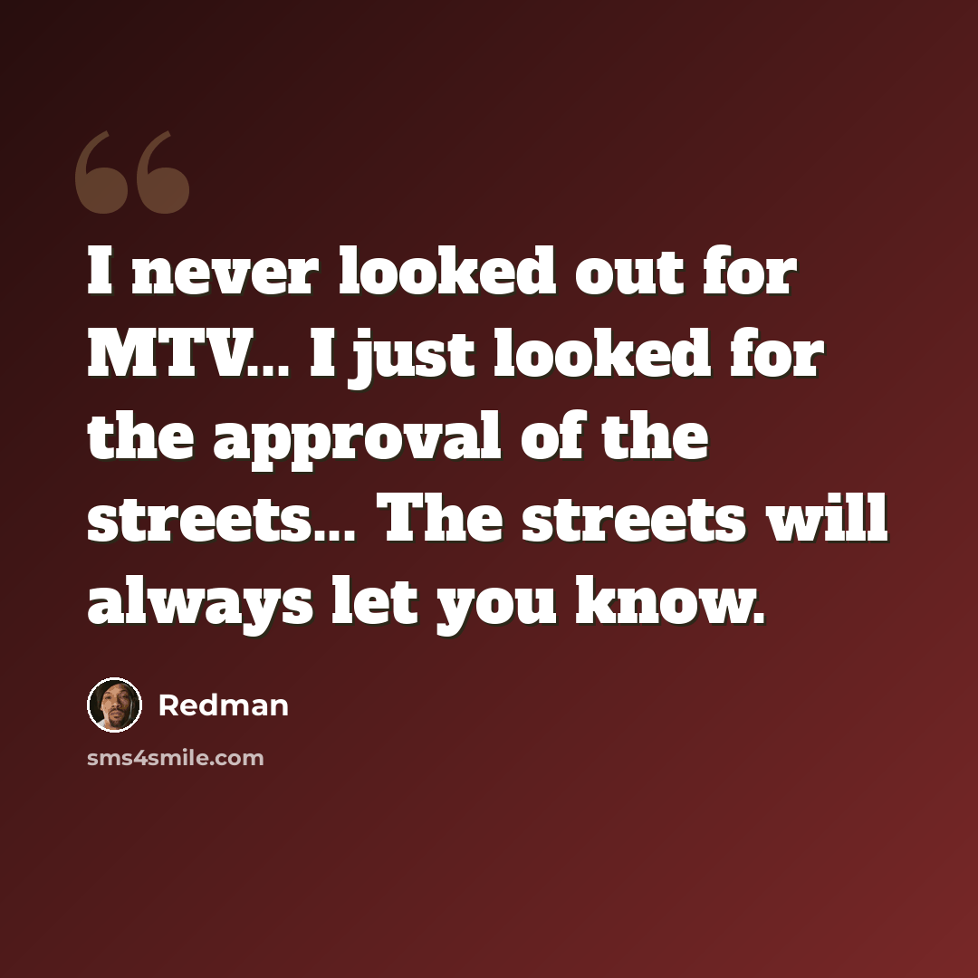 “I never looked out for MTV... I just looked for the approval of the streets... The streets will always let you know.” quote by Redman