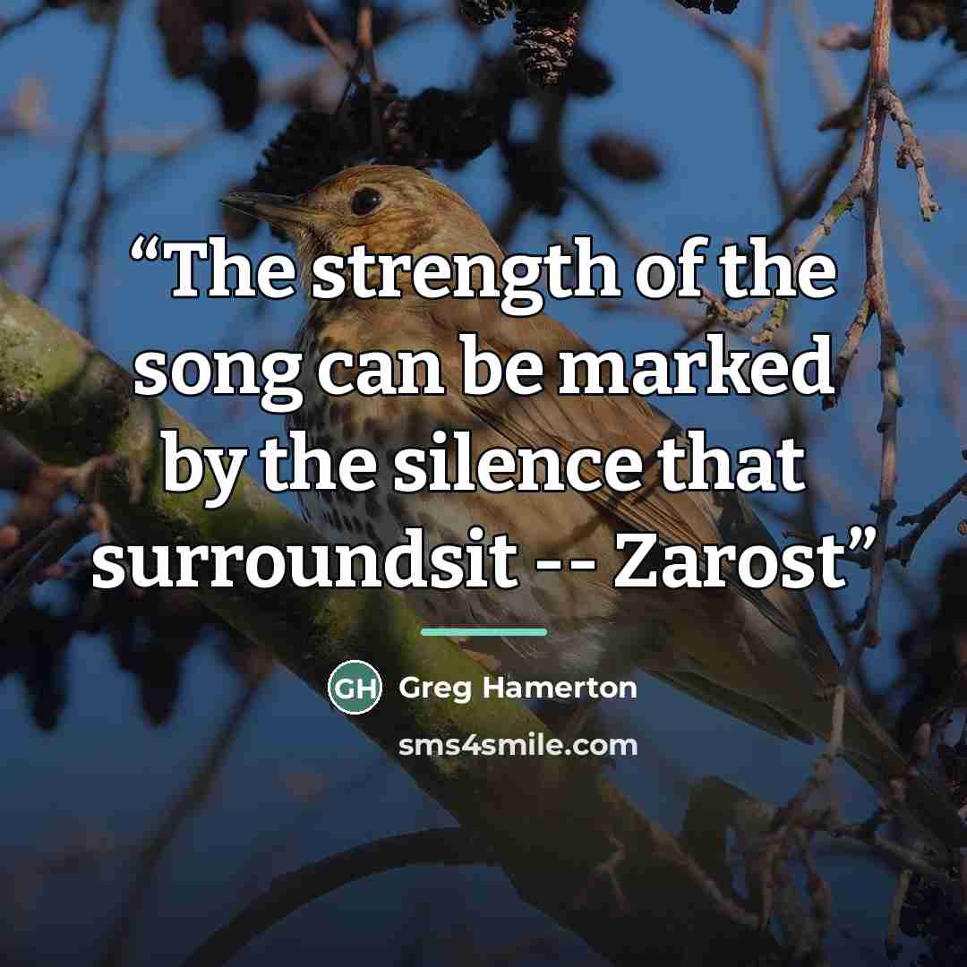 “The strength of the song can be marked by the silence that surroundsit -- Zarost” quote by Greg Hamerton
