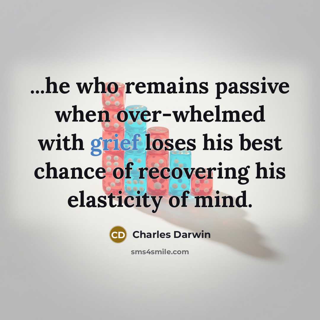 “...he who remains passive when over-whelmed with grief loses his best chance of recovering his elasticity of mind.” quote by Charles Darwin